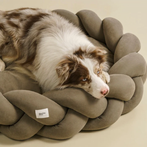 Top selling luxury design luxury pet sofa removable and washable winter dog bed sofa